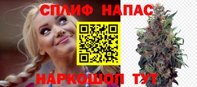 молекула духа Гай