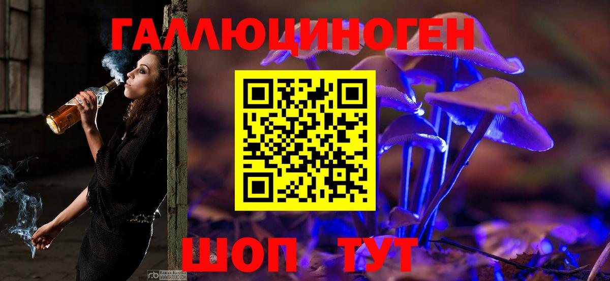 Псилоцибиновые грибы Magic Shrooms Новоалександровск