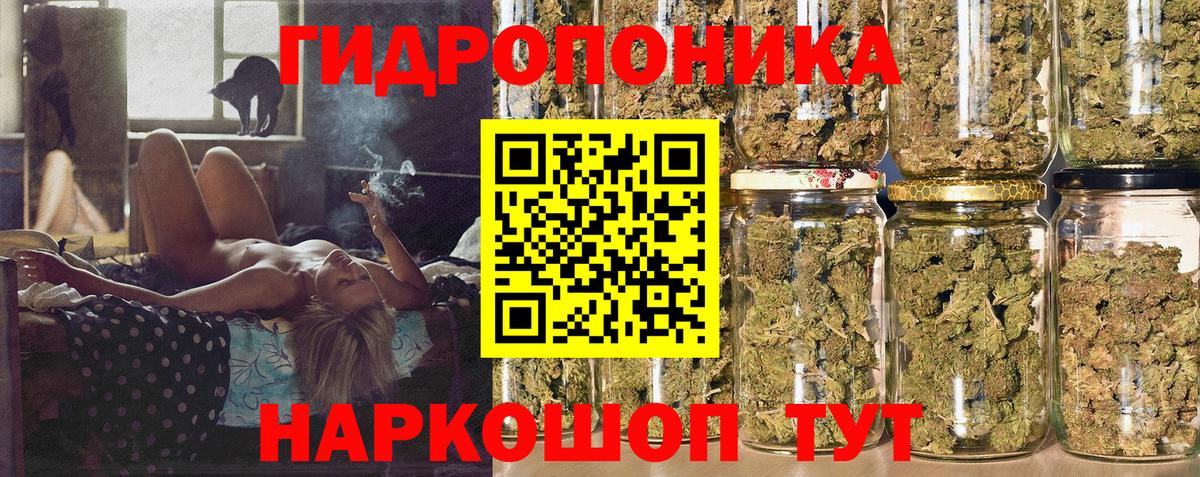 МАРИХУАНА семена Новоалександровск
